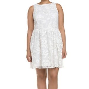 BB Dakota Sleeveless Dress